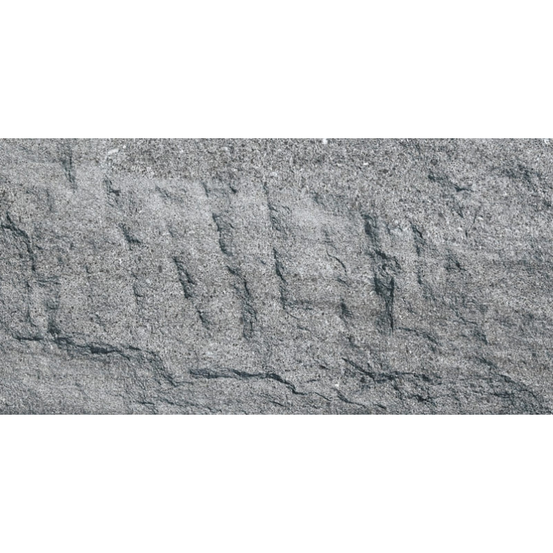 Devine Mushroon Stone