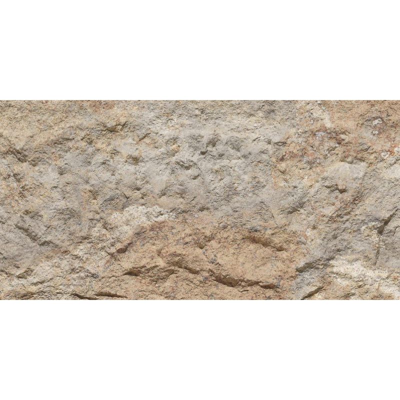 Devine Mushroon Stone