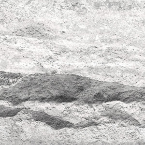 Crossard Stone Mushroom