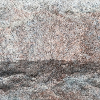Crossard Stone Mushroom