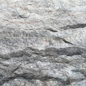 Crossard Stone Mushroom