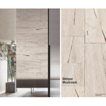 Oblique Mushroom Stone